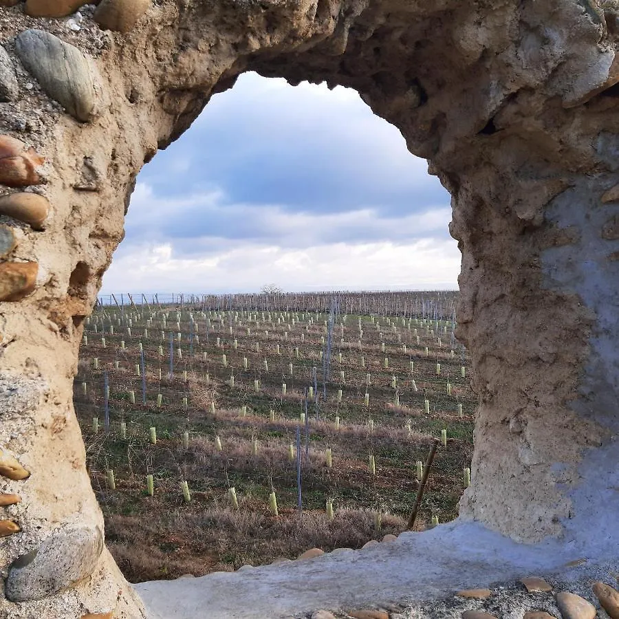Le Pressoir Villa Mercurol-Veaunes